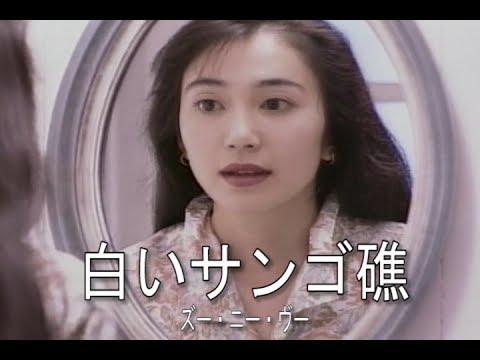 白いさんご礁（シロイサンゴショウ）