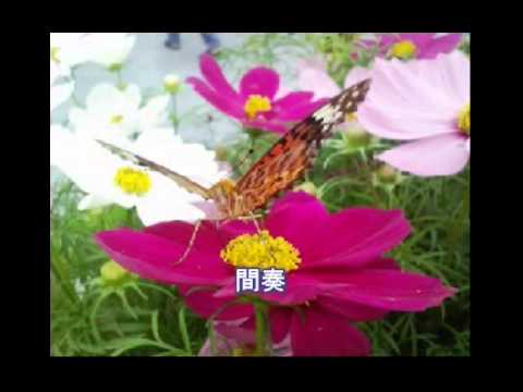 ヨイトマケの唄（よいとまけのうた）