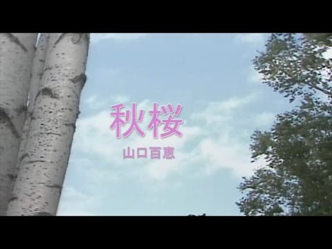 秋桜（こすもす）