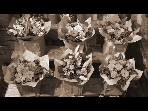 世界に一つだけの花（せかいにひとつだけのはな）