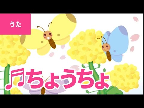 蝶々（ちょうちょう）
